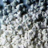 Calcium Chloride Fused Anhydrous